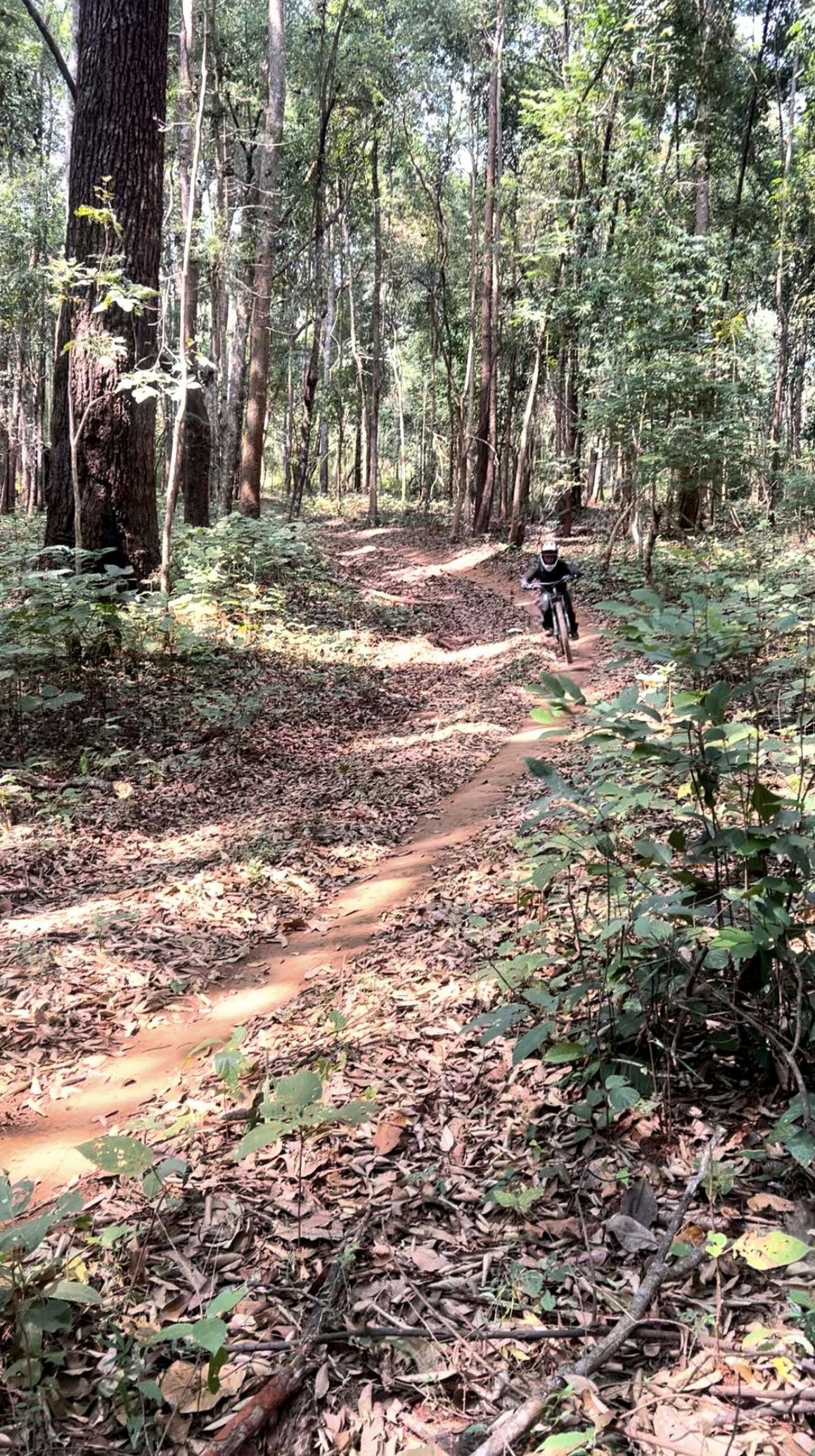 Sakura / Fullday Trip